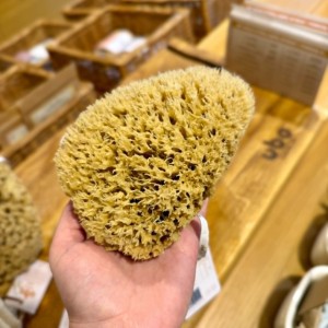 Naturalna Gąbka morska Plaster Miodu M (12-15cm) Ubo 