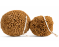 Gąbka naturalna Trawa M 12-15cm (id: 7004)