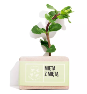 Mydło Mięta z Miętą 110g
